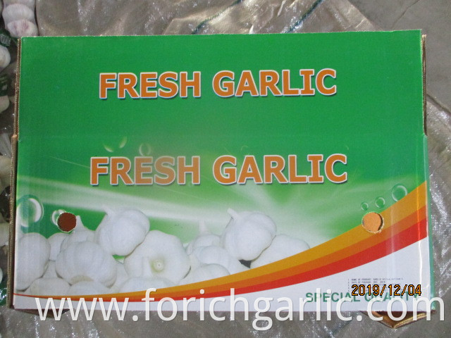 Where Can I Buy Fresh Garlic